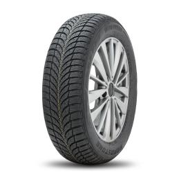 Roadstone Winguard SnowG WH2 165/65R14 79T